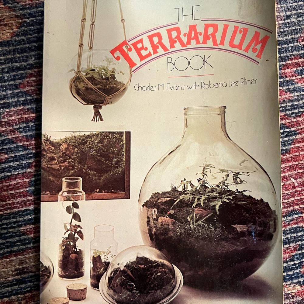 Terrarium bundle - Picture 2 of 2